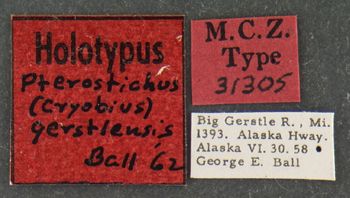 Media type: image;   Entomology 31305 Aspect: labels